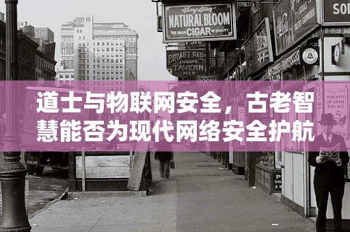 道士与物联网安全，古老智慧能否为现代网络安全护航？