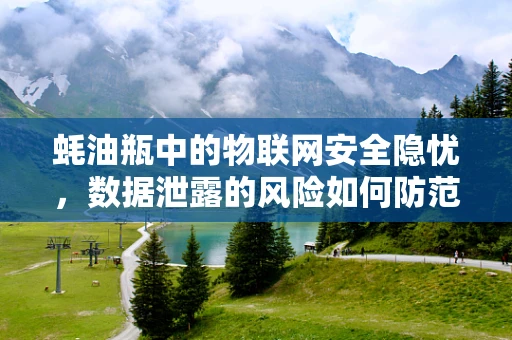 蚝油瓶中的物联网安全隐忧，数据泄露的风险如何防范？