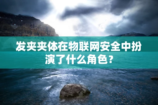 发夹夹体在物联网安全中扮演了什么角色？