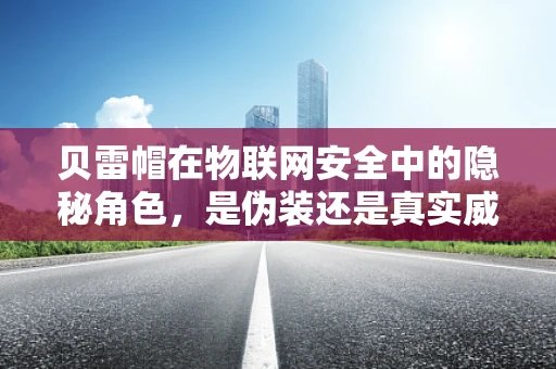 贝雷帽在物联网安全中的隐秘角色，是伪装还是真实威胁？
