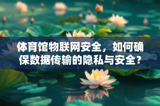 体育馆物联网安全，如何确保数据传输的隐私与安全？