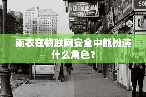 雨衣在物联网安全中能扮演什么角色？