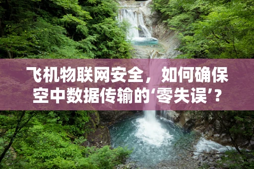 飞机物联网安全，如何确保空中数据传输的‘零失误’？