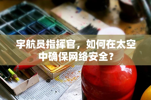 宇航员指挥官，如何在太空中确保网络安全？