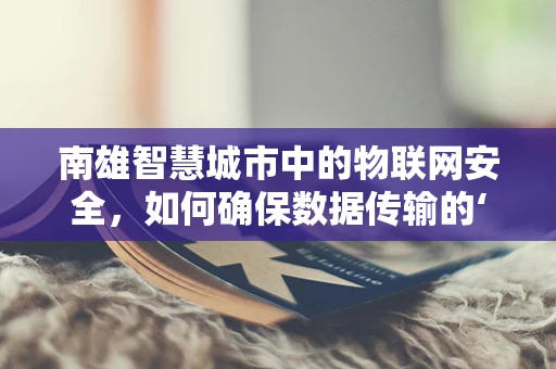南雄智慧城市中的物联网安全，如何确保数据传输的‘零风险’？