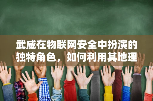 武威在物联网安全中扮演的独特角色，如何利用其地理位置优势保障数据安全？