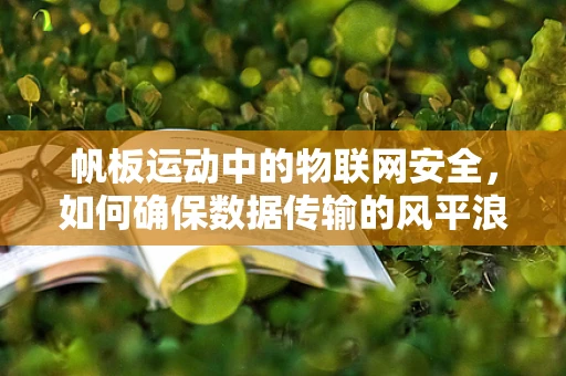 帆板运动中的物联网安全，如何确保数据传输的风平浪静？