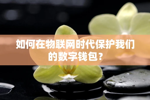 如何在物联网时代保护我们的数字钱包？