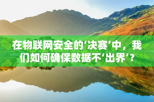 在物联网安全的‘决赛’中，我们如何确保数据不‘出界’？