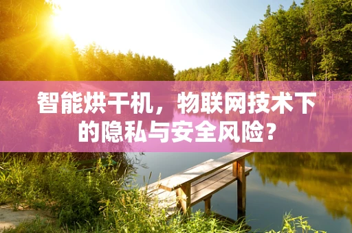 智能烘干机，物联网技术下的隐私与安全风险？