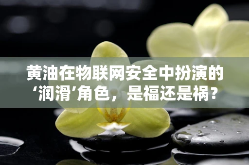 黄油在物联网安全中扮演的‘润滑’角色，是福还是祸？