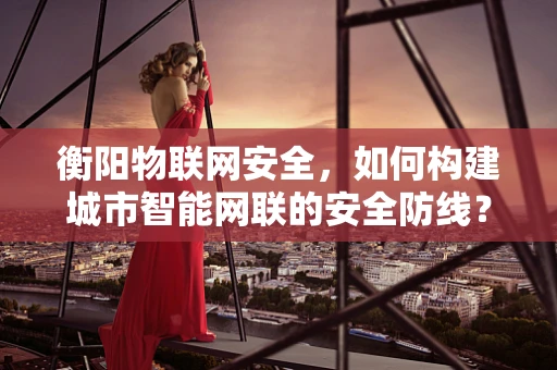 衡阳物联网安全，如何构建城市智能网联的安全防线？