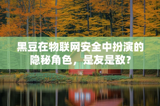 黑豆在物联网安全中扮演的隐秘角色，是友是敌？