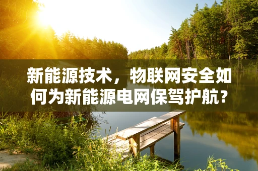 新能源技术，物联网安全如何为新能源电网保驾护航？