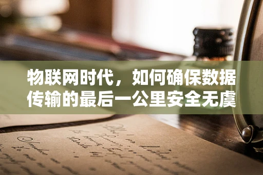 物联网时代，如何确保数据传输的最后一公里安全无虞？