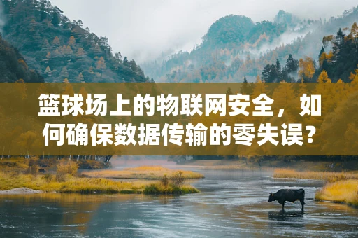 篮球场上的物联网安全，如何确保数据传输的零失误？