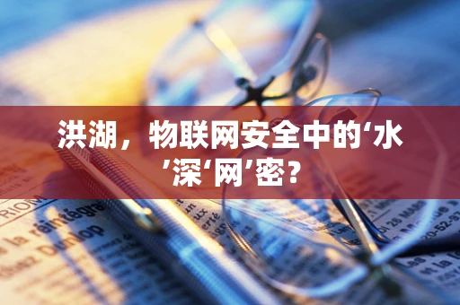 洪湖，物联网安全中的‘水’深‘网’密？