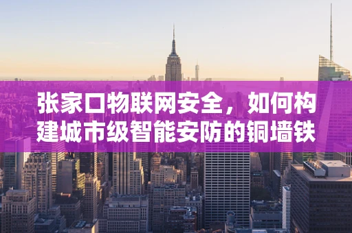 张家口物联网安全，如何构建城市级智能安防的铜墙铁壁？