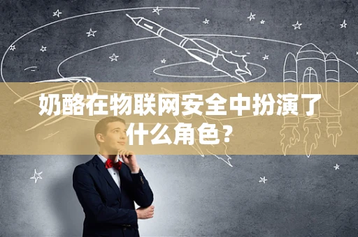 奶酪在物联网安全中扮演了什么角色？