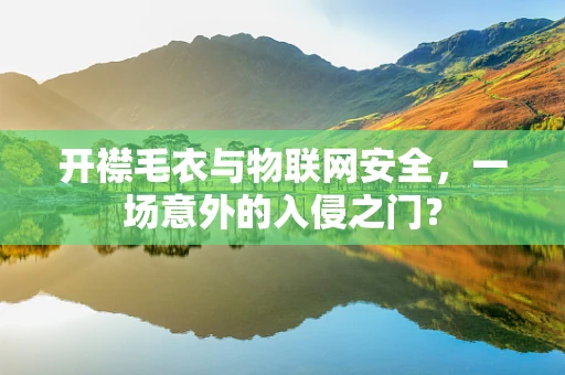 开襟毛衣与物联网安全，一场意外的入侵之门？