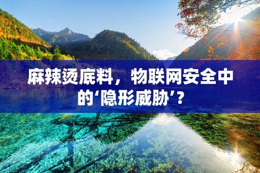 麻辣烫底料，物联网安全中的‘隐形威胁’？