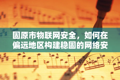 固原市物联网安全，如何在偏远地区构建稳固的网络安全防线？