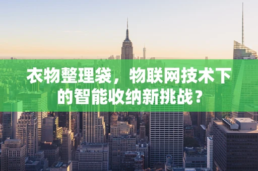 衣物整理袋，物联网技术下的智能收纳新挑战？