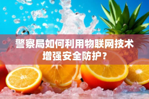 警察局如何利用物联网技术增强安全防护？