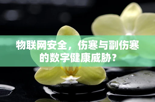 物联网安全，伤寒与副伤寒的数字健康威胁？