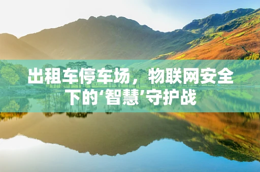 出租车停车场，物联网安全下的‘智慧’守护战
