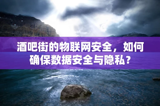 酒吧街的物联网安全，如何确保数据安全与隐私？