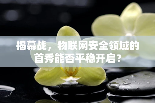揭幕战，物联网安全领域的首秀能否平稳开启？