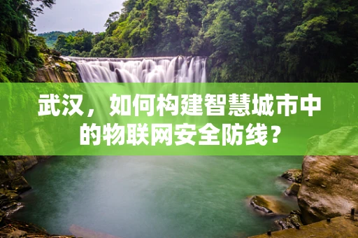 武汉，如何构建智慧城市中的物联网安全防线？