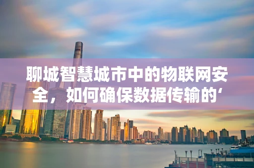聊城智慧城市中的物联网安全，如何确保数据传输的‘零风险’？