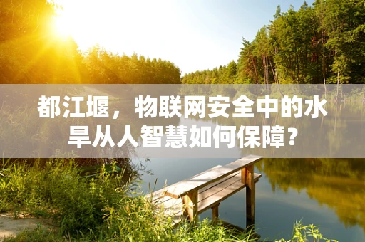 都江堰，物联网安全中的水旱从人智慧如何保障？