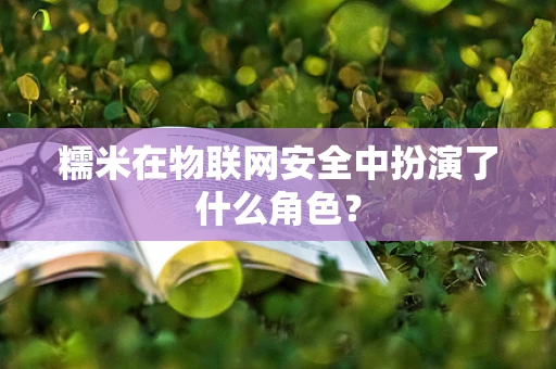 糯米在物联网安全中扮演了什么角色？