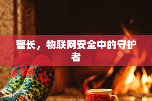 警长，物联网安全中的守护者