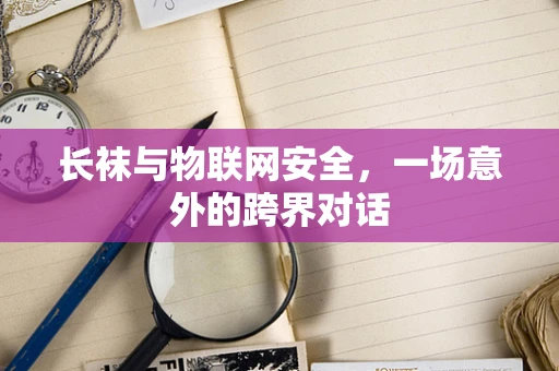 长袜与物联网安全，一场意外的跨界对话