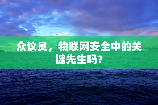 众议员，物联网安全中的关键先生吗？
