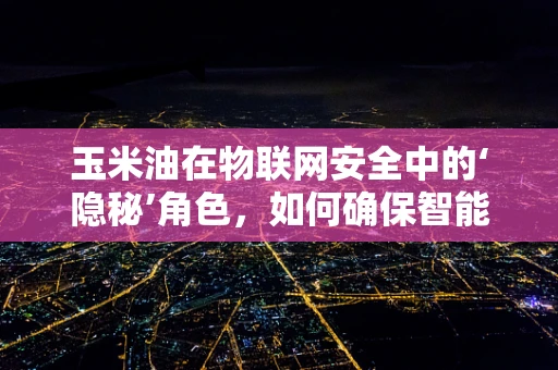 玉米油在物联网安全中的‘隐秘’角色，如何确保智能供应链的安全？