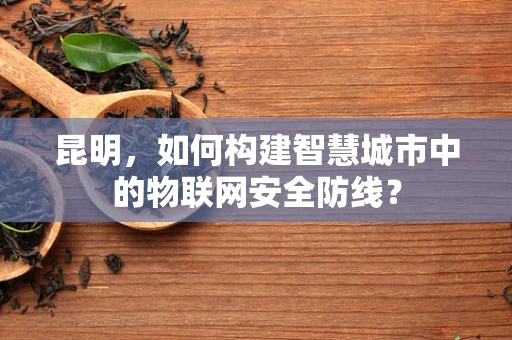 昆明，如何构建智慧城市中的物联网安全防线？