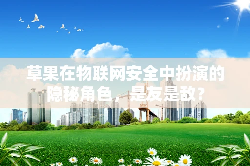 草果在物联网安全中扮演的隐秘角色，是友是敌？