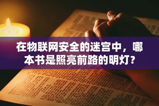 在物联网安全的迷宫中，哪本书是照亮前路的明灯？