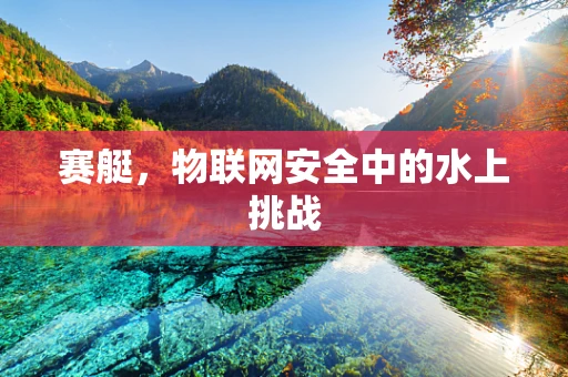 赛艇，物联网安全中的水上挑战