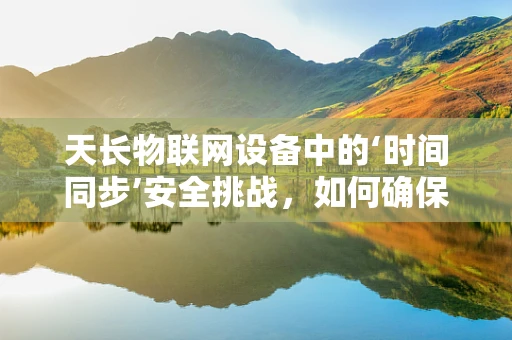 天长物联网设备中的‘时间同步’安全挑战，如何确保数据不被未来窃取？