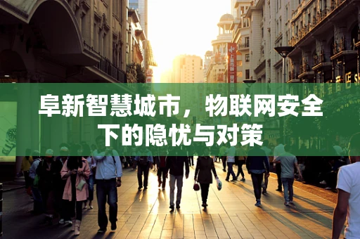 阜新智慧城市，物联网安全下的隐忧与对策