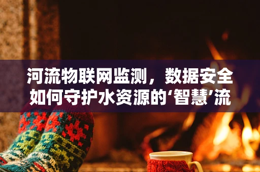 河流物联网监测，数据安全如何守护水资源的‘智慧’流动？
