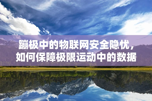 蹦极中的物联网安全隐忧，如何保障极限运动中的数据安全？