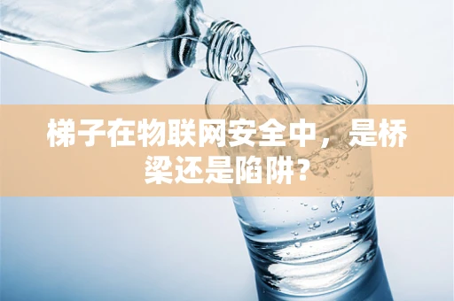 梯子在物联网安全中，是桥梁还是陷阱？