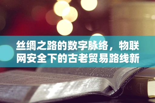 丝绸之路的数字脉络，物联网安全下的古老贸易路线新挑战？
